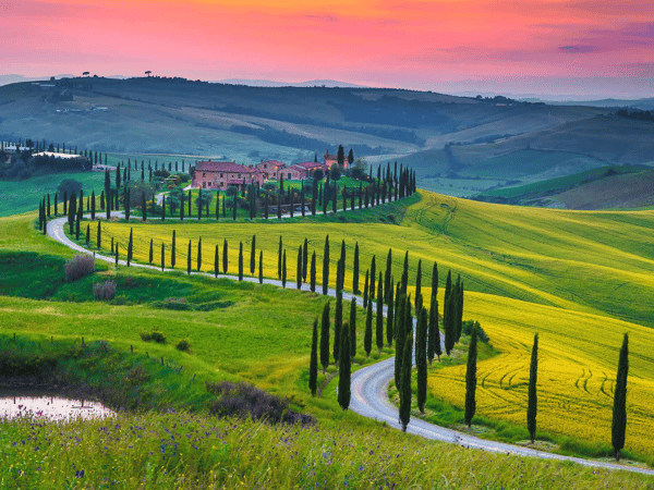 Course Rome & Country Roads of Tuscany image 5
