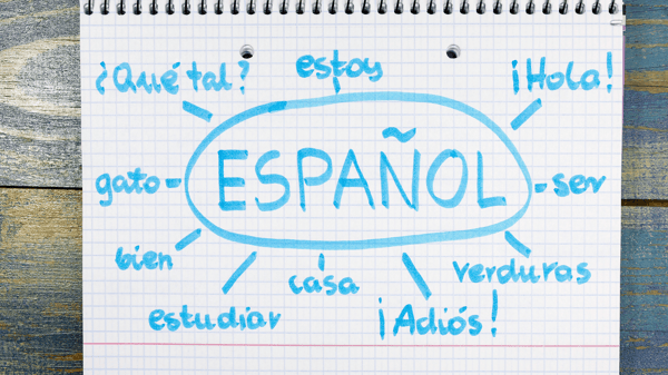 Course Beginning Spanish 101 image 1