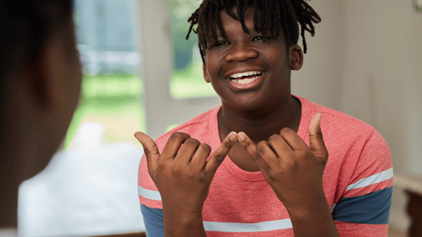 Course American Sign Language image 1