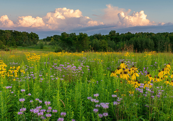 Course NEW Tips and Techniques on Landscape Photography image 1