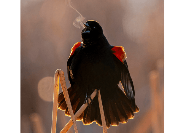 Course Discover Digital Photography image 2