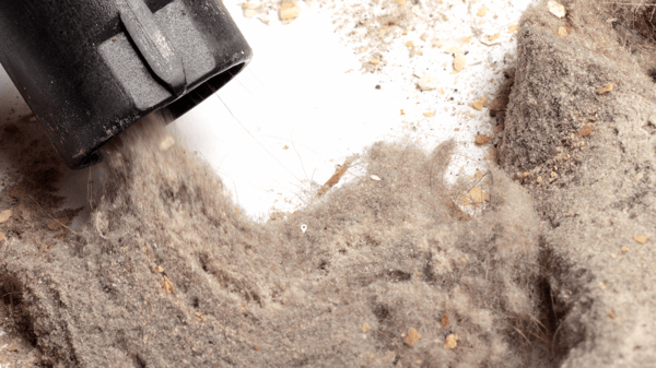 Course CE - Young Scientist Roundtable - Dust – Nuisance? Think Again! image 1