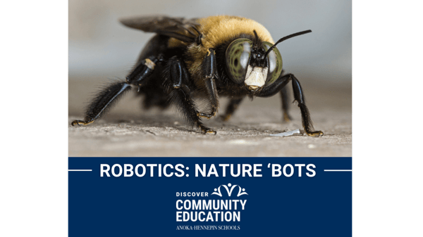 Picture for Elem - Robotics: Nature 'Bots
