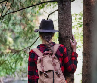 Course Shinrin Yoku - Forest Bathing image 1