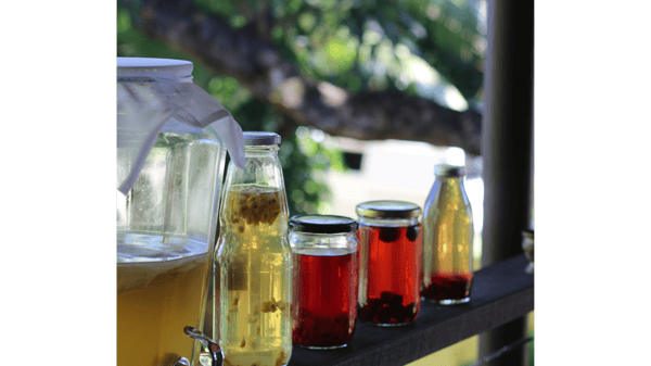 Course Brew Kombucha at Home image 1