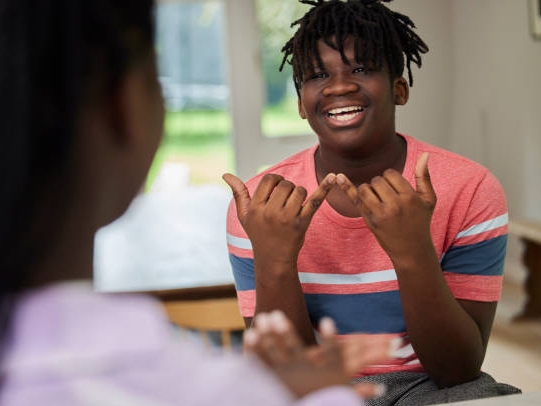 Picture for: American Sign Language II