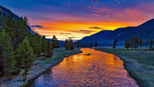 Course Yellowstone & the Wild West image 1