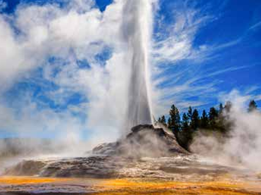 Picture for: Yellowstone & the Wild West