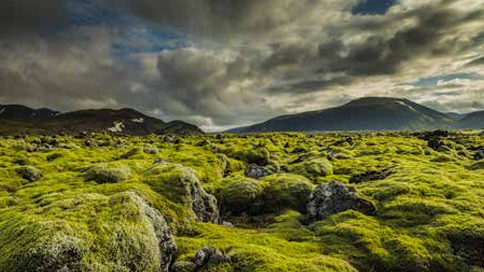 Image for Iceland Explorer