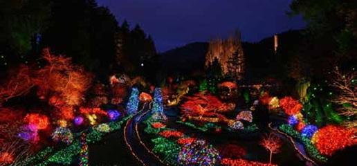 Picture for: Victoria & Vancouver Christmas