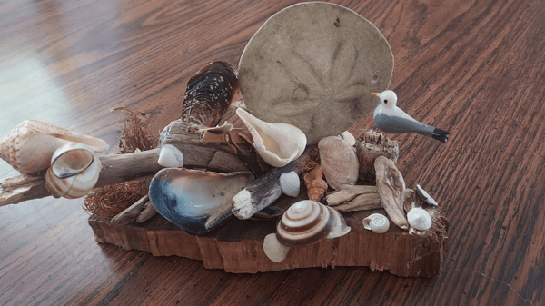 Picture for: Coastal Centerpiece