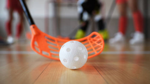 Picture for: Floor Hockey