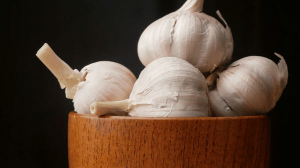 Picture for: NEW | Planting Garlic