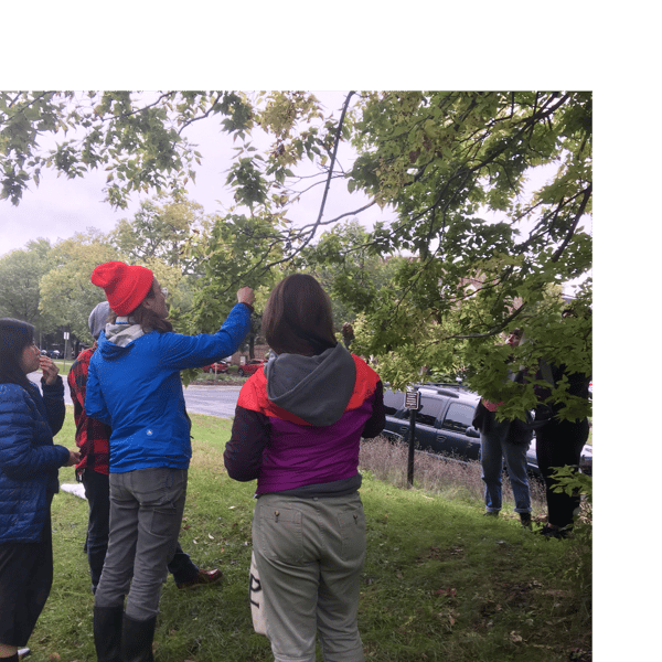 Course Fall Foraging image 2