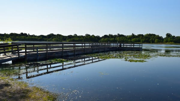 Picture for: Family Fishing Clinic