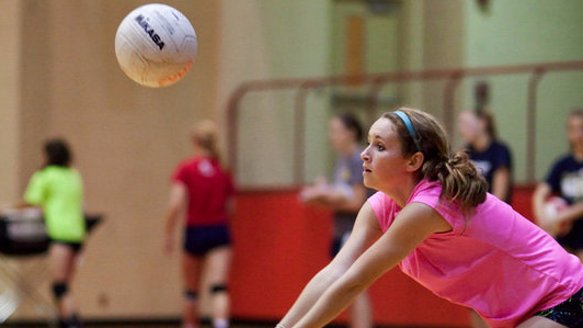 Picture for: Hawks Youth Girls' Volleyball (5th grade)