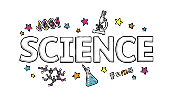 Course Wonder Lab: Proctor image 1