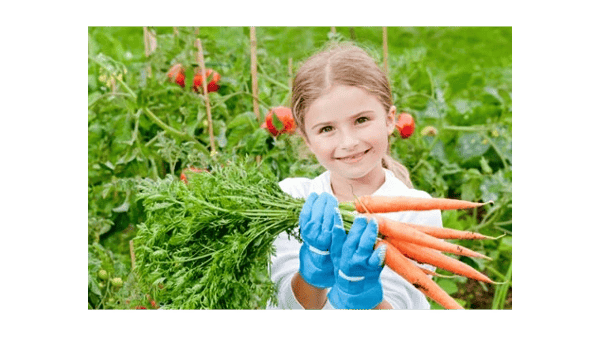 Picture for: Green Thumb Gardening: From Seeds to Supper!
