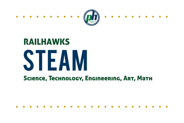 Picture for RAILHAWKS STEAM