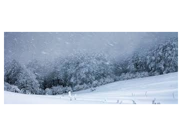 Picture for: Winter Weather Science