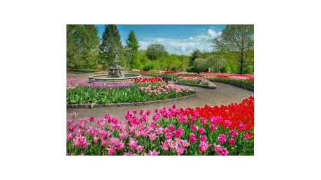 Picture for: Northern Explorers: Minnesota Landscape Arboretum