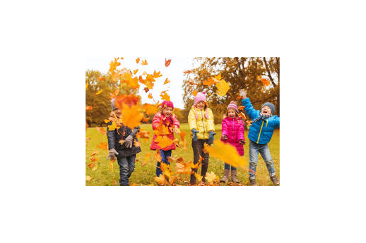 Picture for: Fabulous Fall Camp