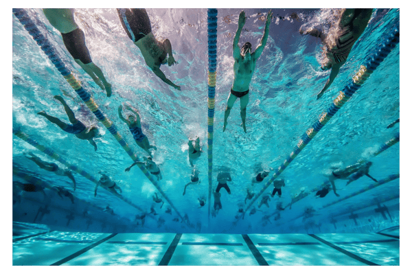 Course Open Swim - Adult image 1