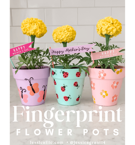Picture for: Mother's Day Flower Pot