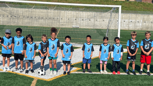 Picture for: DASH MLS Mini Soccer league