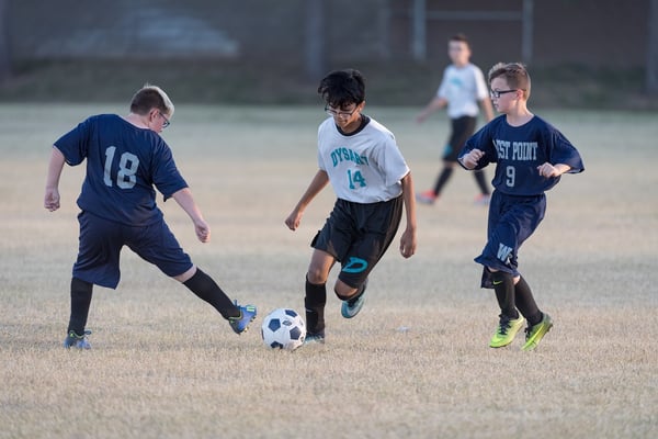 Picture for Physical Enrichment