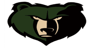 Course Basha Volleyball Summer Camp 6th-8th Grades image 1