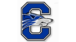 Course Chandler High Softball – All Skills Camp image 1
