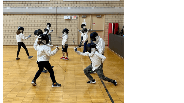 Picture for: Fencing