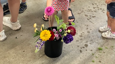 Picture for: Stacy's Nursery Plant Exploration!