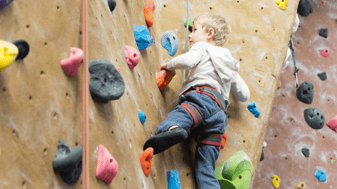 Picture for Indoor Rock Climbing Gym