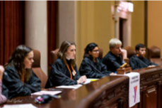 Course Youth In Government image 2