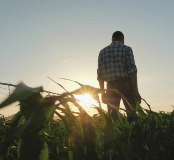 Course Facing Suicide:  Hope for the Agricultural Community image 1