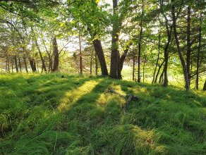 Picture for Nature Days