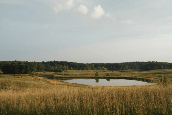 Picture for Prairie Woods Environmental Learning Center Sampler