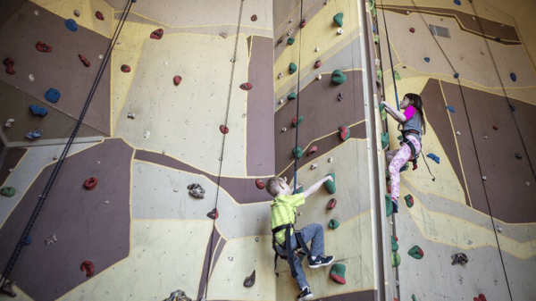 Picture for: Indoor Rock Climbing