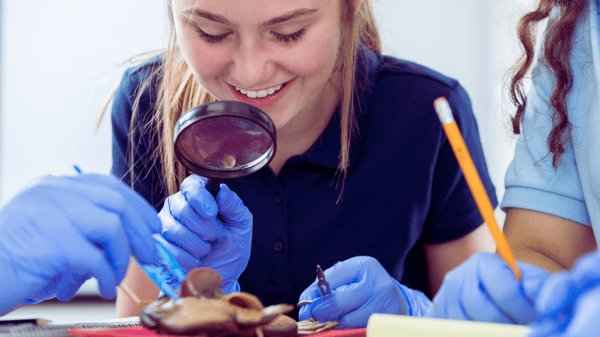 Picture for Exploring Life Sciences: Frog and Worm Dissection