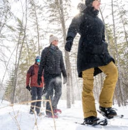 Picture for: Sunset Snowshoe