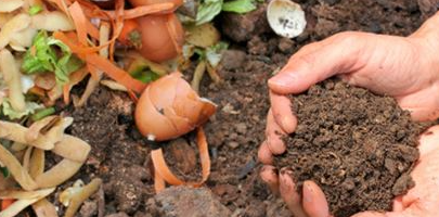 Picture for: Home Composting