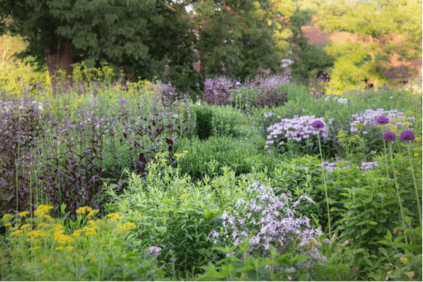 Picture for: How to Create a Garden Using New Naturalism Ideas & Techniques
