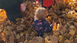 Picture for: Harvest Happenings