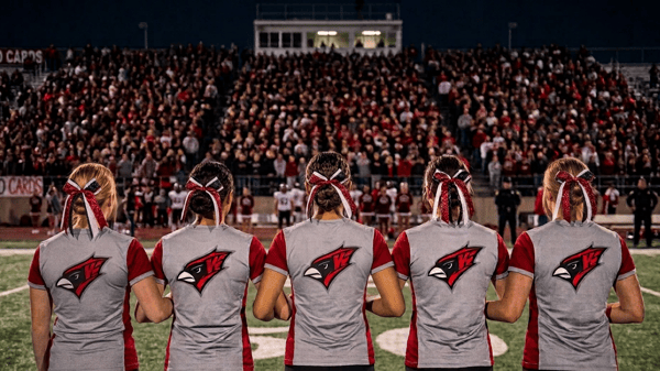 Picture for Willmar Fall Dance Team