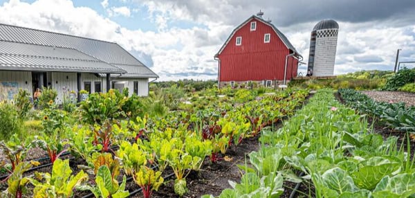 Course Minnesota Landscape Arboretum Bus Tour image 1