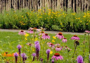 Picture for Minnesota Landscape Arboretum Bus Tour
