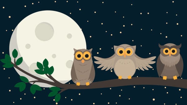 Picture for: Birth to Kindergarten and Attending Adult(s) - Evening Night Owls