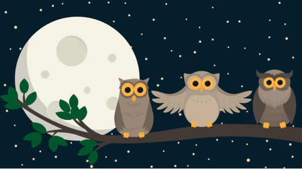 Picture for: Birth to Kindergarten and Parent Evening Night Owls